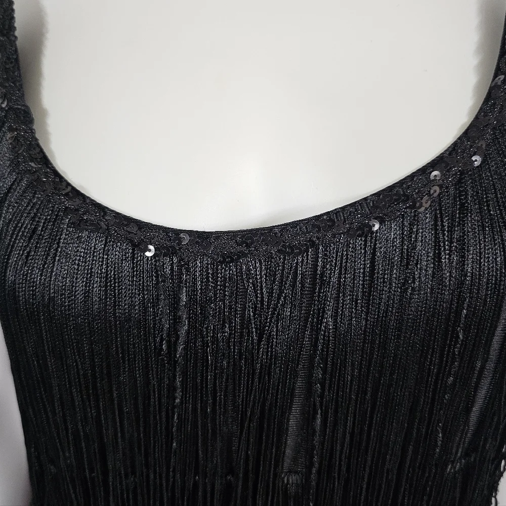 California Costumes Black Fringe Layered 1920's Flapper Dress Size L (Adult) - Picture 12 of 16